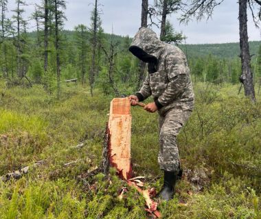 Процесс работ